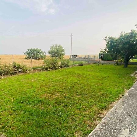 Villa “Casa Alex” A Pochi Km Dal Mare Scardovari Exterior foto